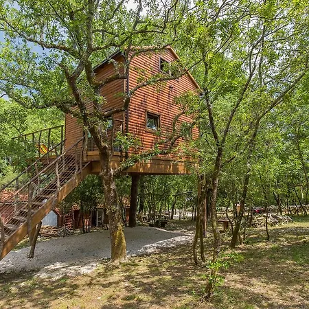 Treehouse Dubrovnik Сasa de vacaciones Čilipi