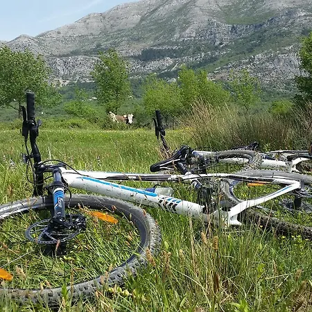 Treehouse Dubrovnik Сasa de vacaciones *